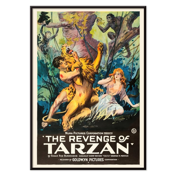 Poster art by Harry Revier featuring a dramatic jungle scene from The Revenge of Tarzan. Poster for The Revenge of Tarzan featuring jungle scene with Tarzan wrestling a lion and a woman watching with fright.