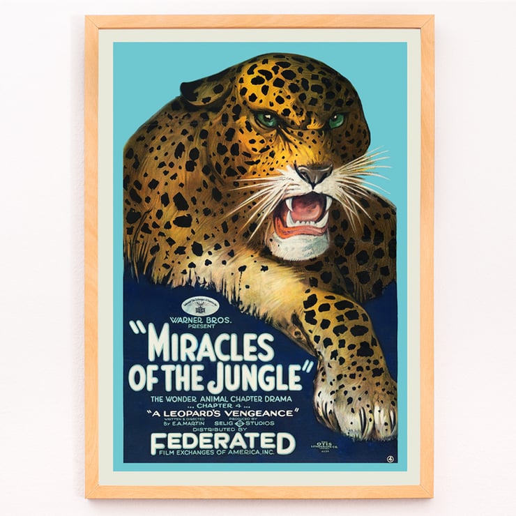 Poster mit einem wilden Leoparden aus „Miracles of the Jungle“ von EA Martin Selig Studios. Poster mit dem Titel „Miracles of the Jungle“ zeigt einen brüllenden Leoparden mit auffälligen grünen Augen und fettem Text vor blauem Hintergrund.