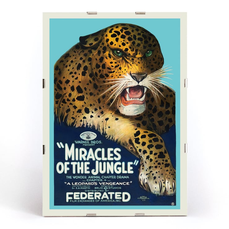 Poster mit einem wilden Leoparden aus „Miracles of the Jungle“ von EA Martin Selig Studios. Poster mit dem Titel „Miracles of the Jungle“ zeigt einen brüllenden Leoparden mit auffälligen grünen Augen und fettem Text vor blauem Hintergrund.