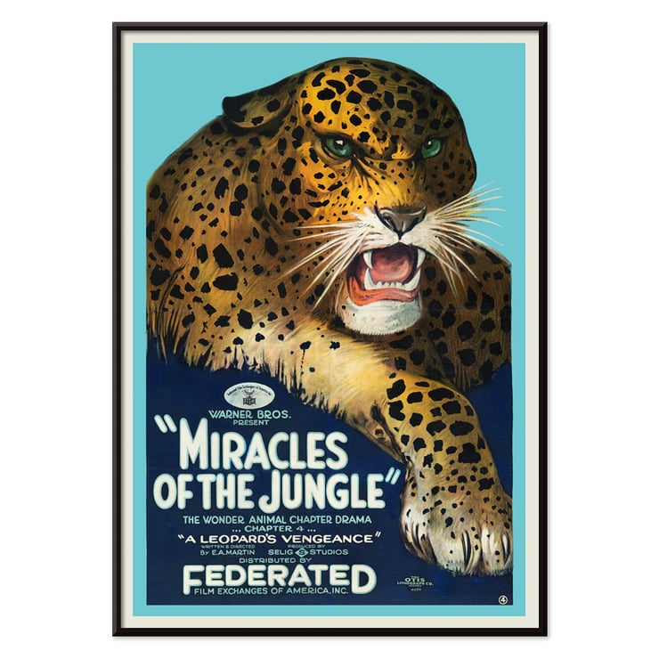 Poster mit einem wilden Leoparden aus „Miracles of the Jungle“ von EA Martin Selig Studios. Poster mit dem Titel „Miracles of the Jungle“ zeigt einen brüllenden Leoparden mit auffälligen grünen Augen und fettem Text vor blauem Hintergrund.