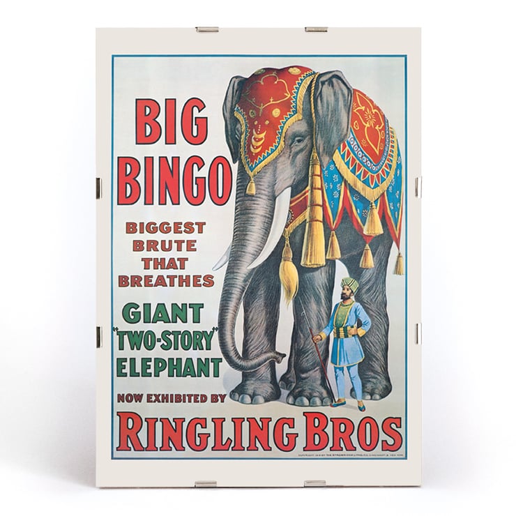 Grande Bingo Grande Bingo
