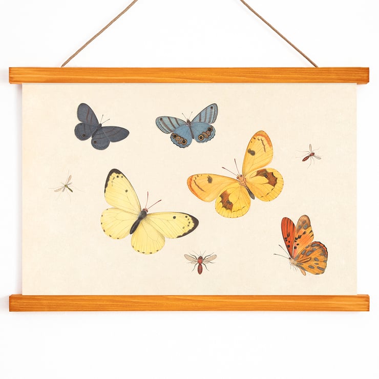 Five Butterflies Five Butterflies
