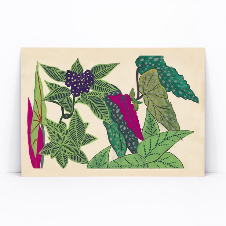 Leaves and fruits Leaves and fruits