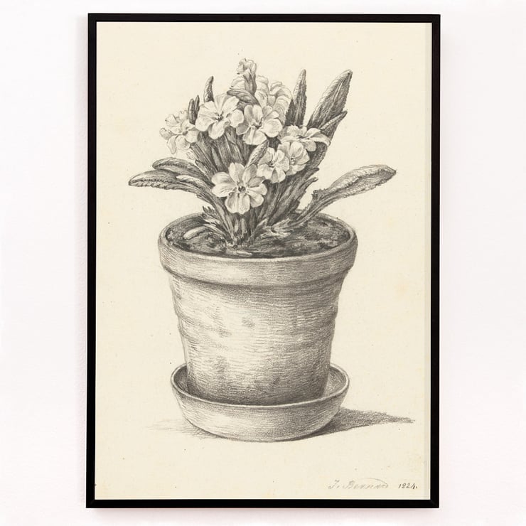 Potplant Potplant