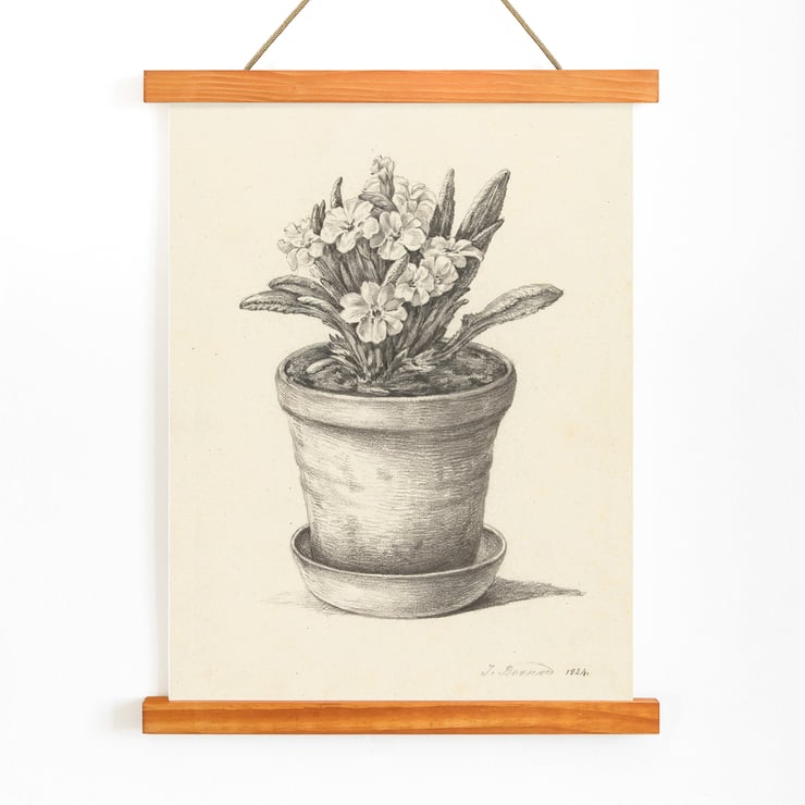 Potplant Potplant
