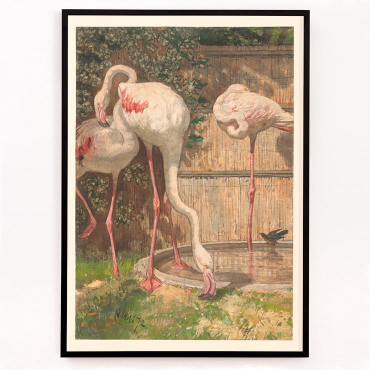 Three Flamingos Three Flamingos