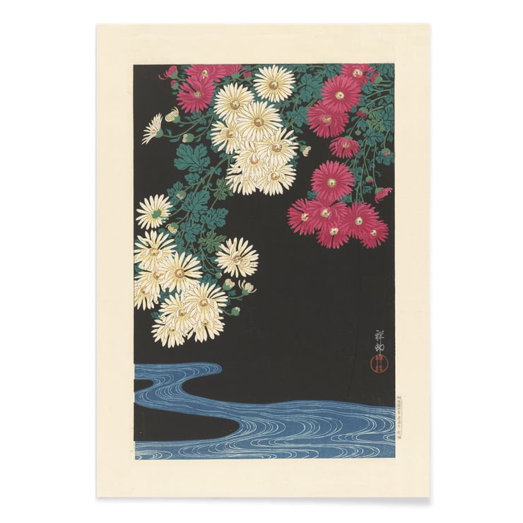 Chrysanthemums Chrysanthemums