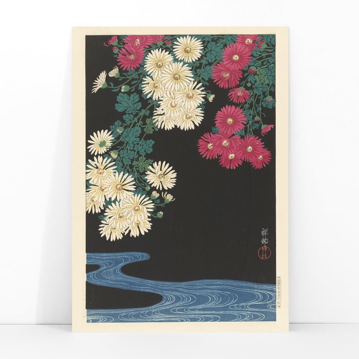 Chrysanthemums Chrysanthemums