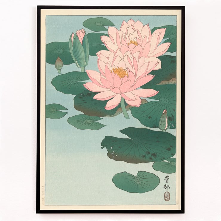 Flowering Water Lily Flowering Water Lily