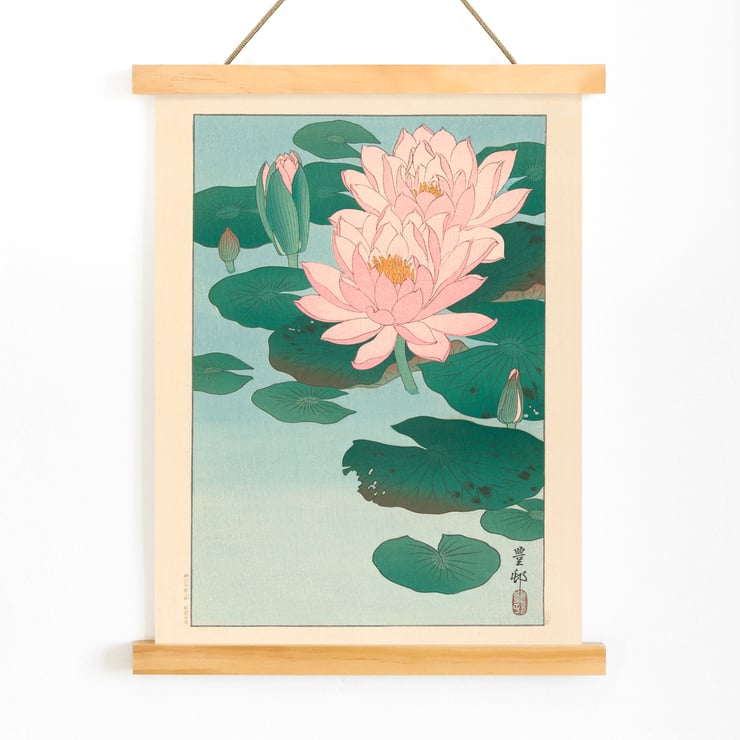 Flowering Water Lily Flowering Water Lily