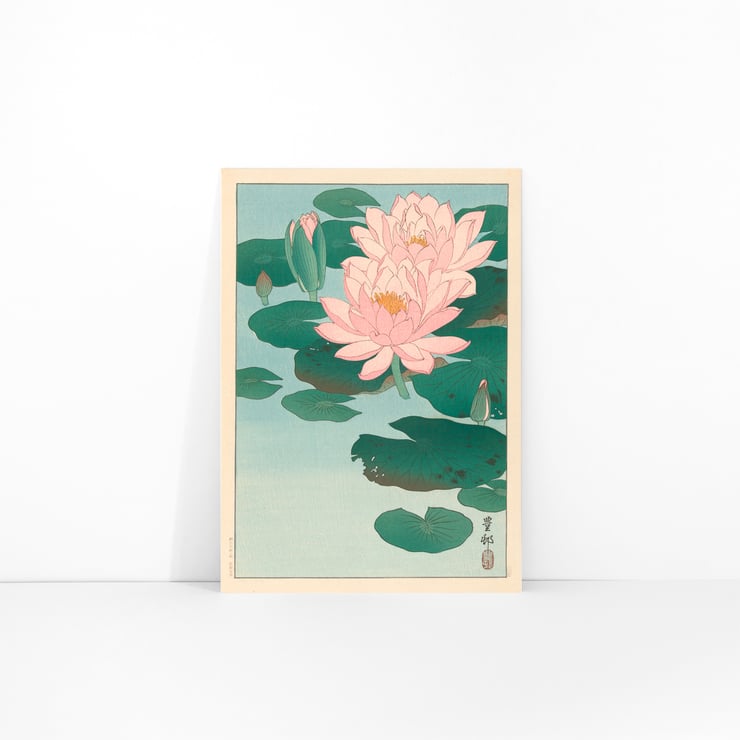 Flowering Water Lily Flowering Water Lily