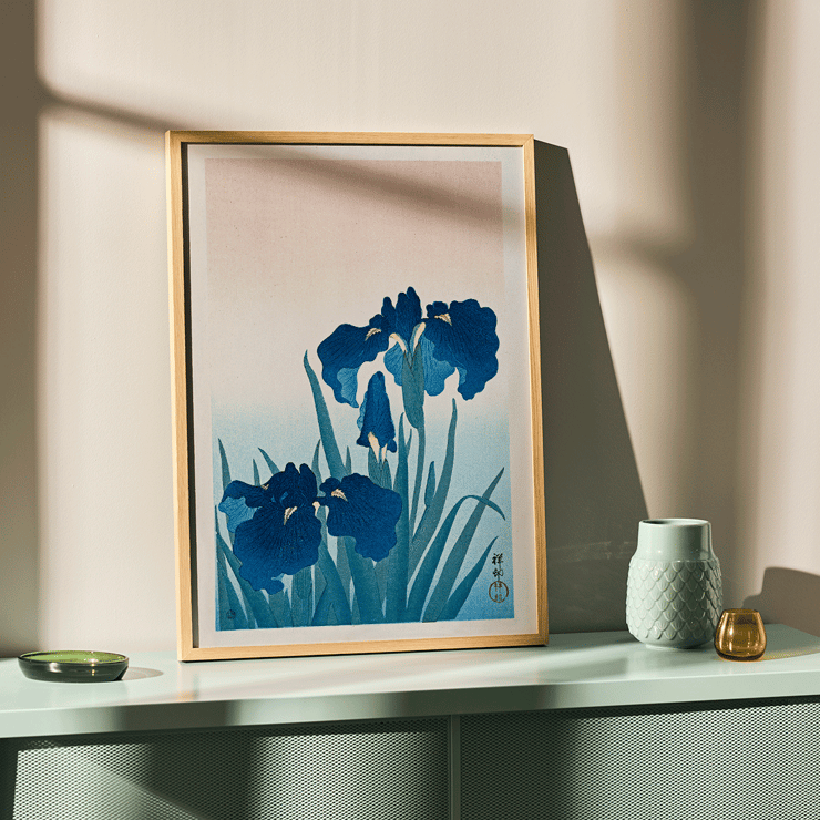 Irises Irises