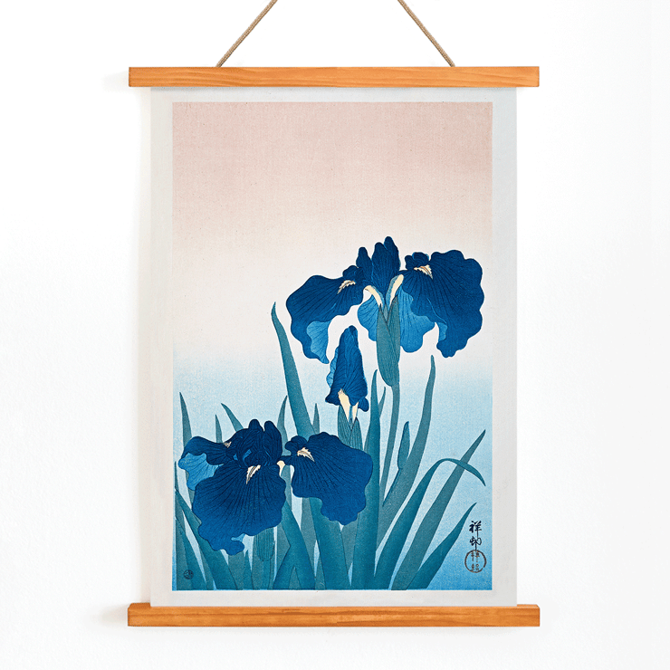 Irises Irises