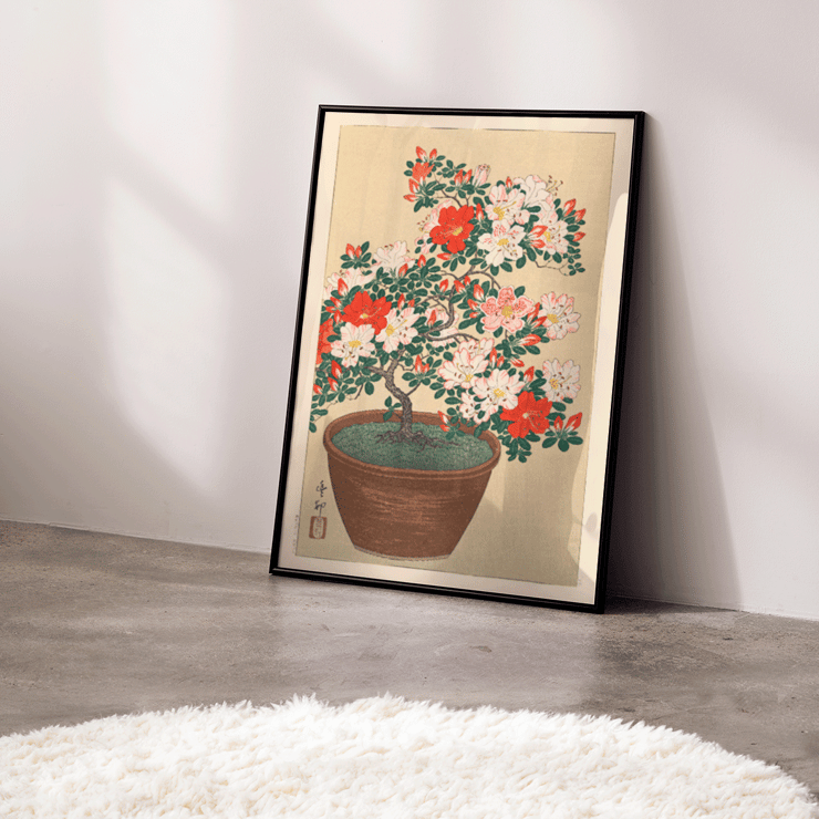 Flowering azalea Flowering azalea
