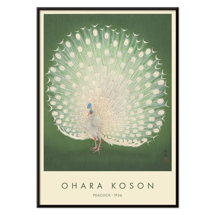 Peacock Peacock