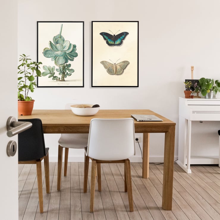 Two butterflies Two butterflies