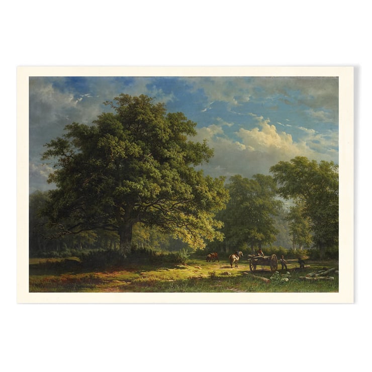 Bentheim Forest Bentheim Forest