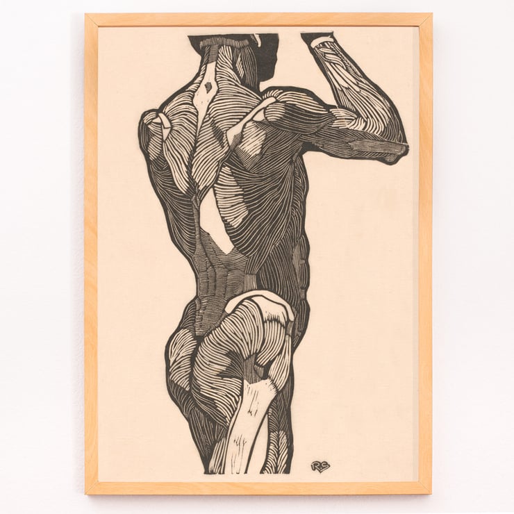 Muscles fessiers Muscles fessiers