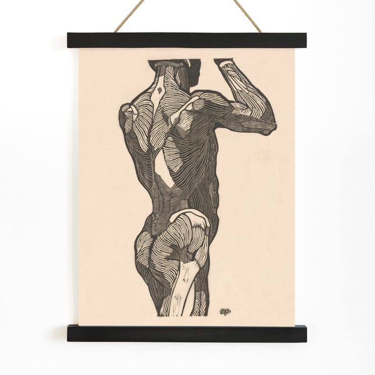 Muscles fessiers Muscles fessiers