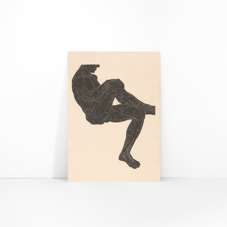Muscles des jambes Muscles des jambes