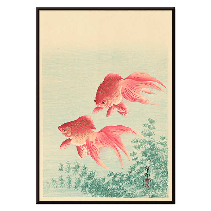 Two Goldfishes Two Goldfishes