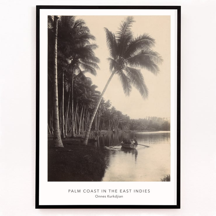 Palm Coast Palm Coast