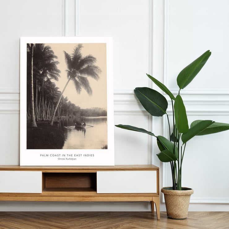 Palm Coast Palm Coast