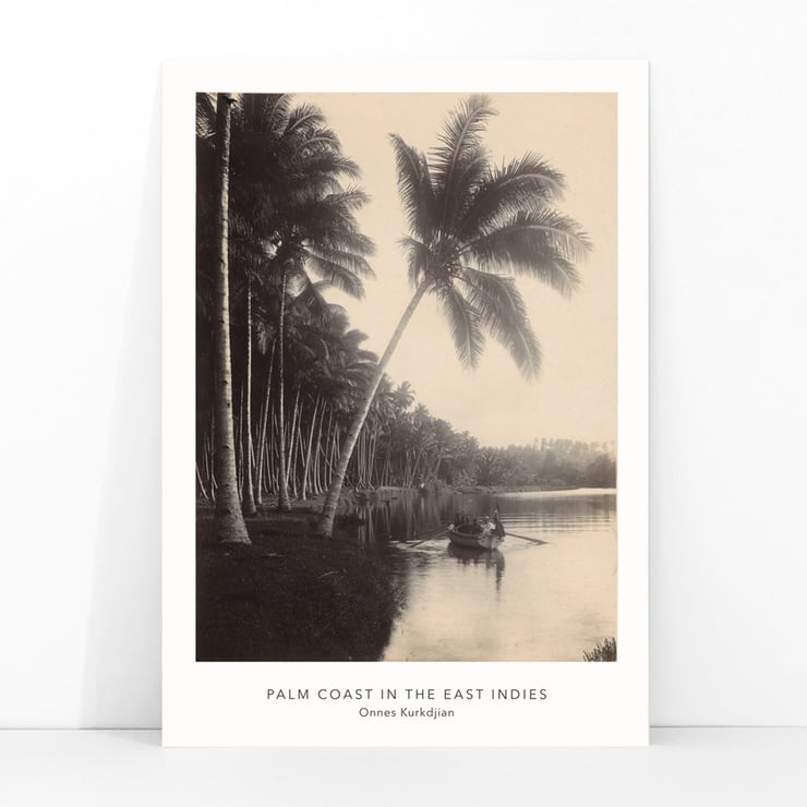 Palm Coast Palm Coast