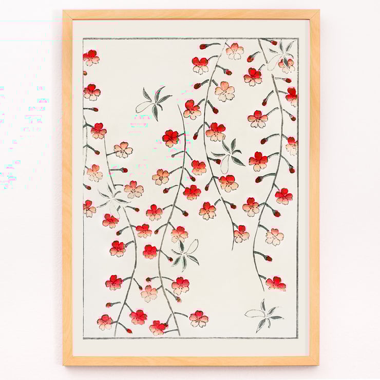 Cherry blossom from Bijutsu Sekai Cherry blossom from Bijutsu Sekai