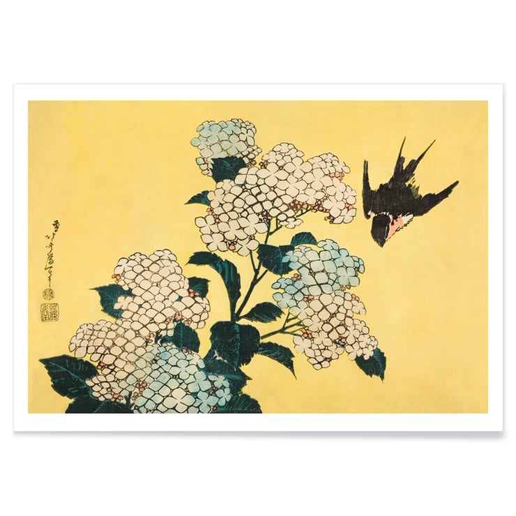 Hydrangea and Swallow Hydrangea and Swallow