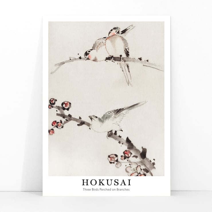 Three Birds Perched on Branches Three Birds Perched on Branches