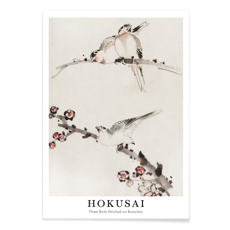 Three Birds Perched on Branches Three Birds Perched on Branches