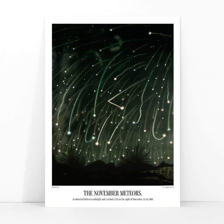 The November meteors The November meteors