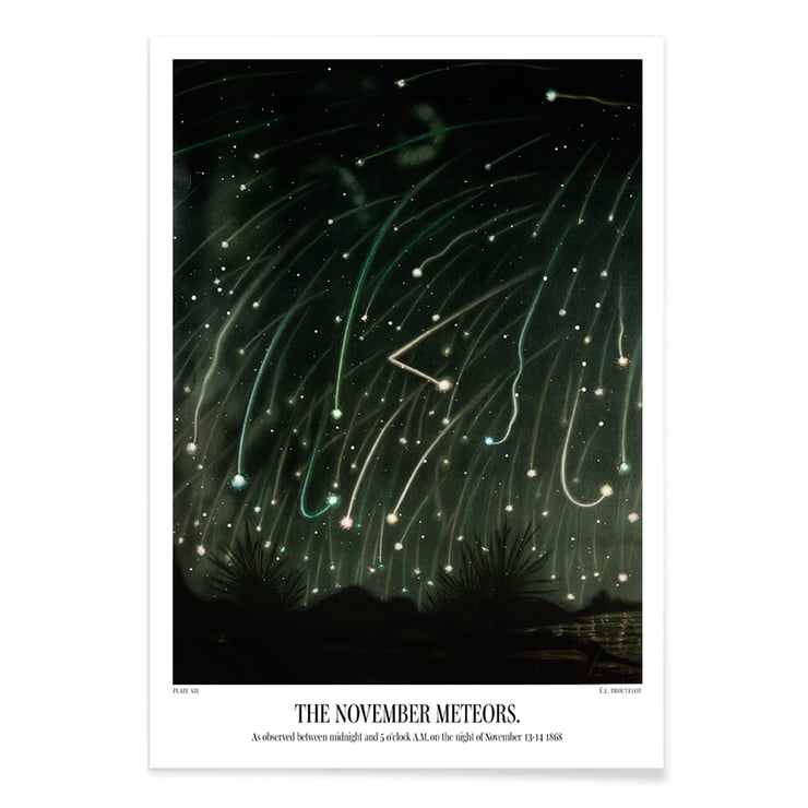 The November meteors The November meteors
