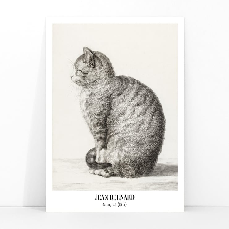 Sitting cat, facing left Sitting cat, facing left