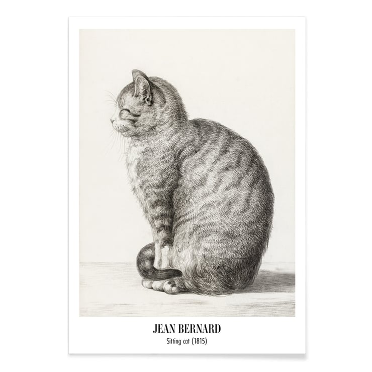 Sitting cat, facing left Sitting cat, facing left