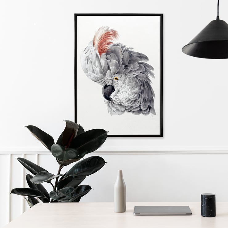 Cockatoo Head Cockatoo Head