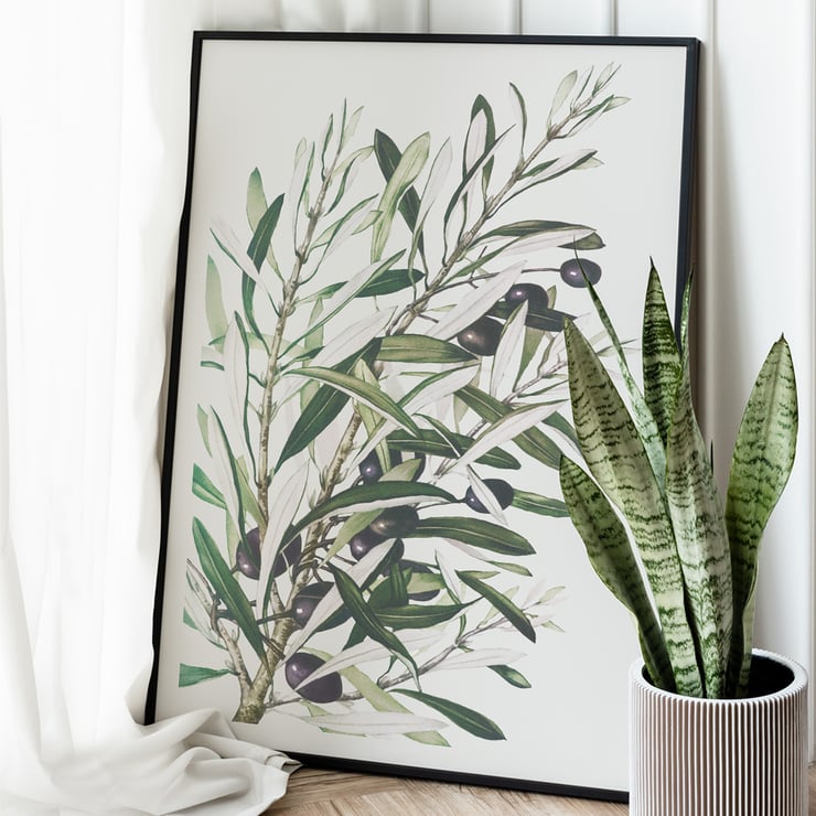 Olive branches Olive branches