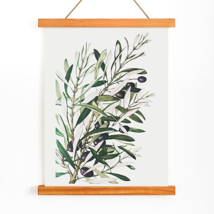 Olive branches Olive branches