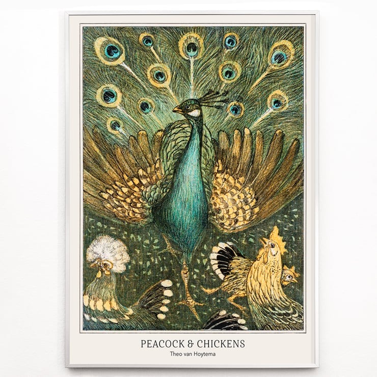 Peacock & Chickens Peacock & Chickens
