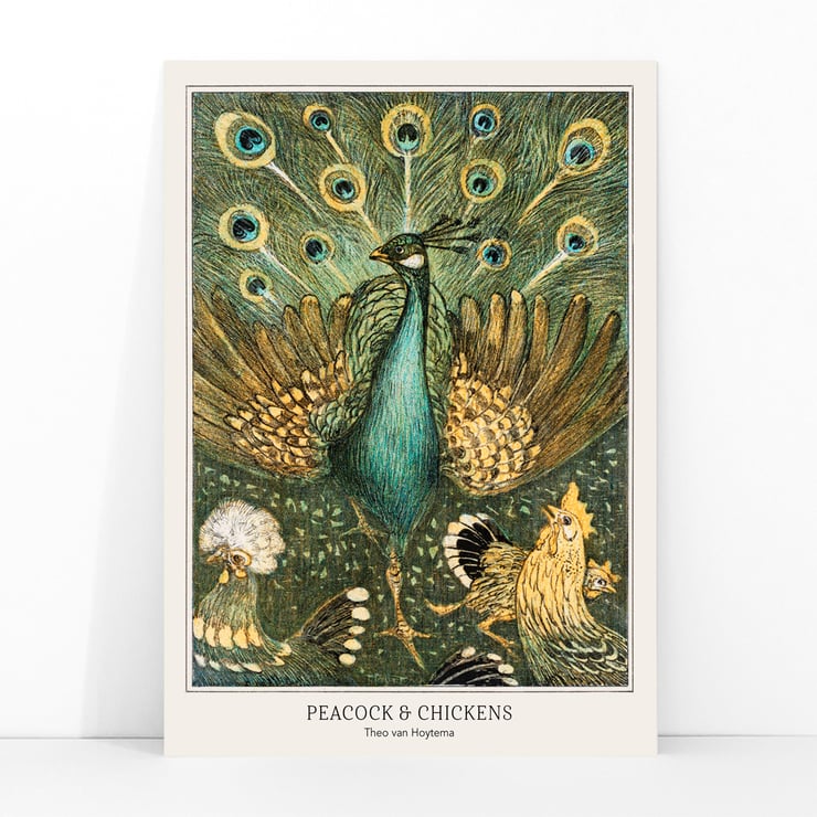 Peacock & Chickens Peacock & Chickens