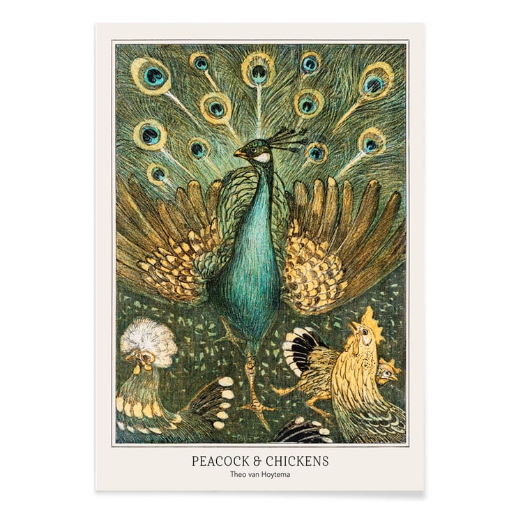 Peacock & Chickens Peacock & Chickens