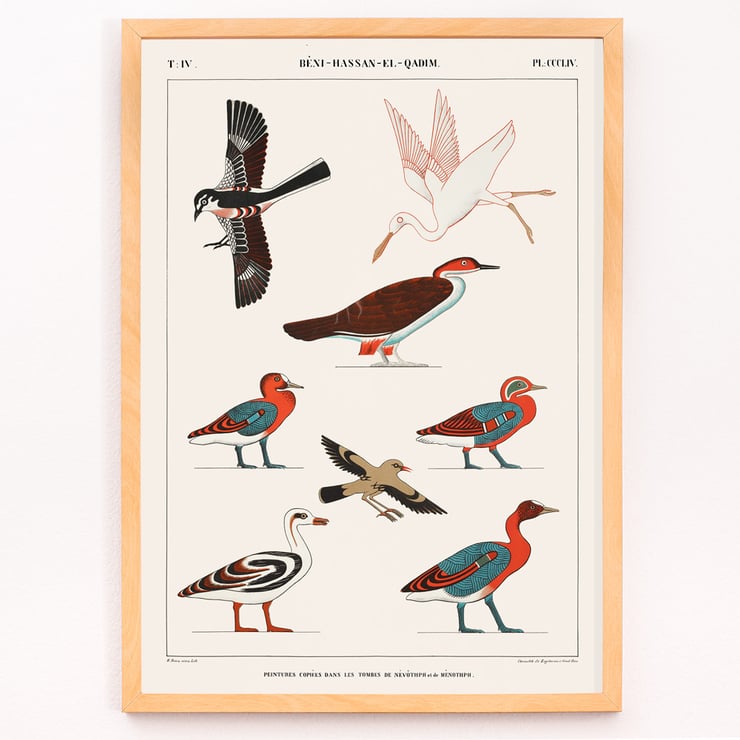 Birds from the tombs of Nevoethph and Menothph Birds from the tombs of Nevoethph and Menothph