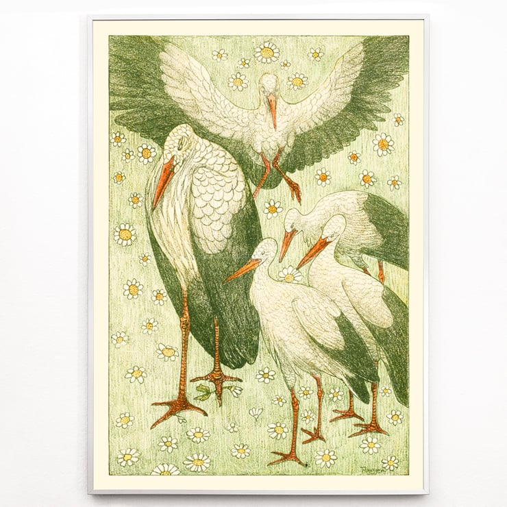 Five storks in a meadow Five storks in a meadow