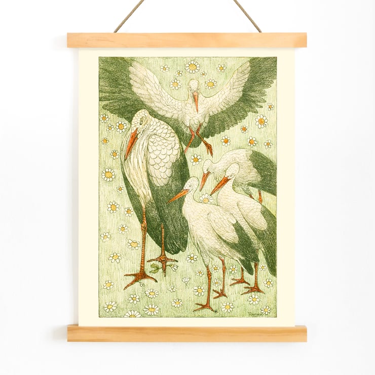 Five storks in a meadow Five storks in a meadow