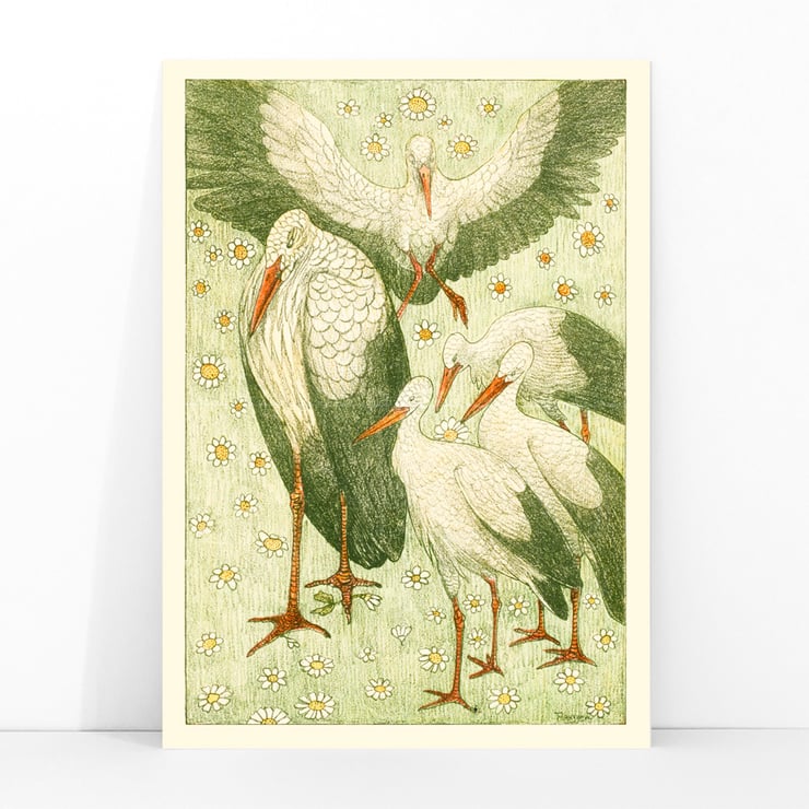 Five storks in a meadow Five storks in a meadow