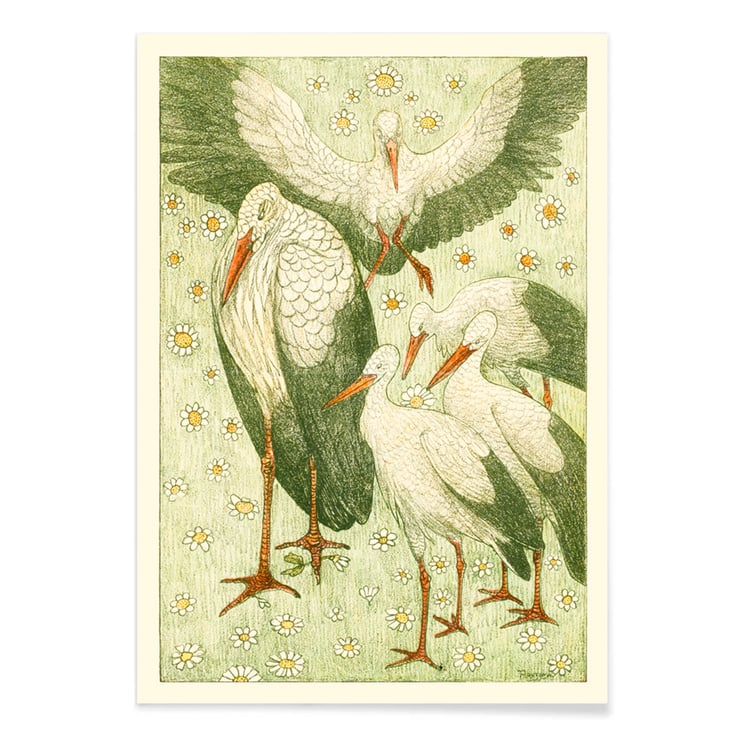 Five storks in a meadow Five storks in a meadow