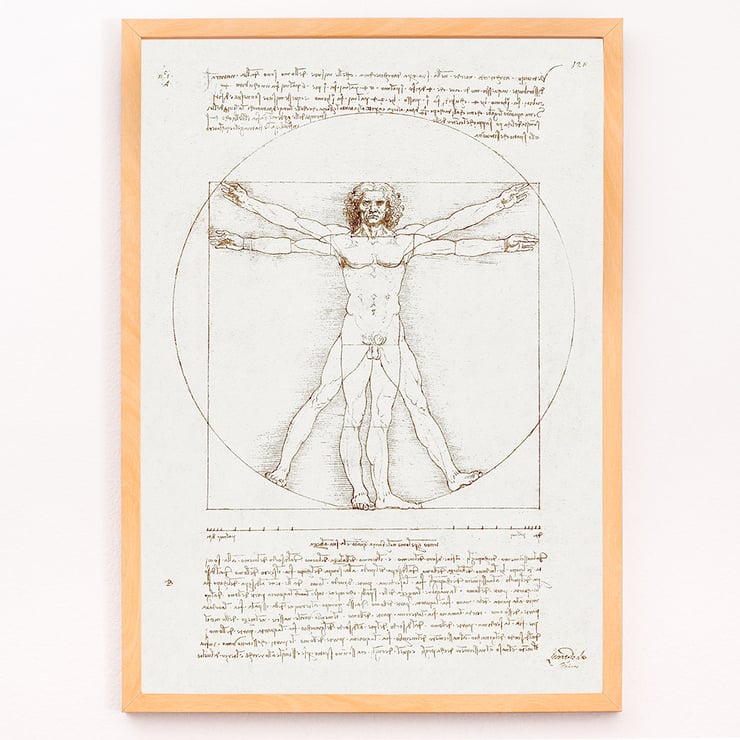 Vitruvian Man Vitruvian Man
