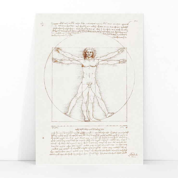 Vitruvian Man Vitruvian Man