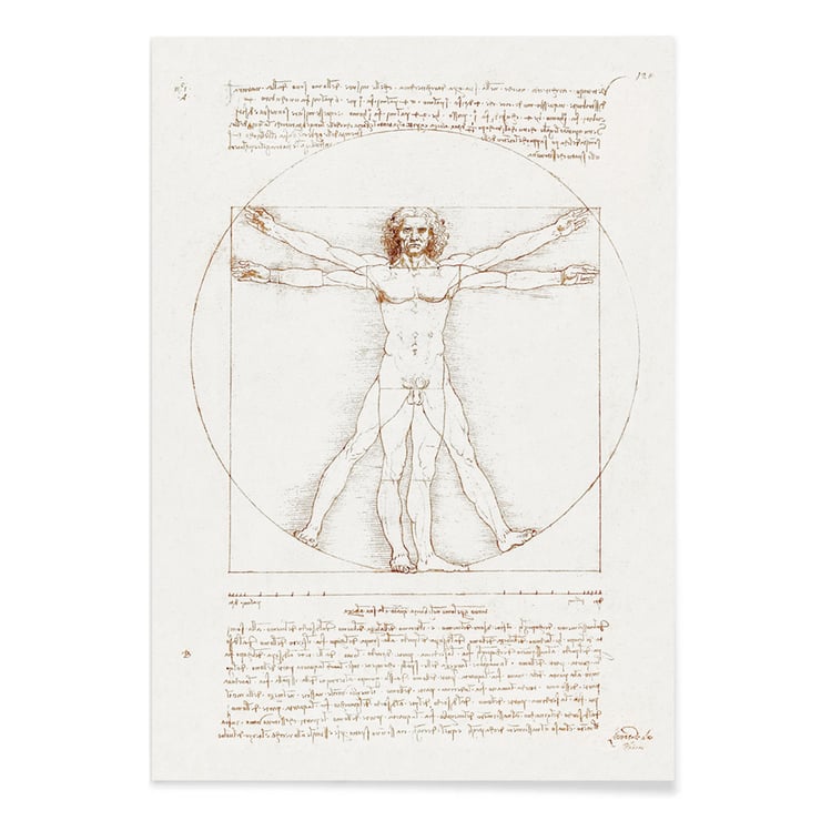 Vitruvian Man Vitruvian Man